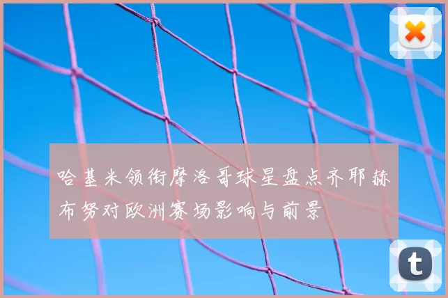 哈基米领衔摩洛哥球星盘点齐耶赫布努对欧洲赛场影响与前景