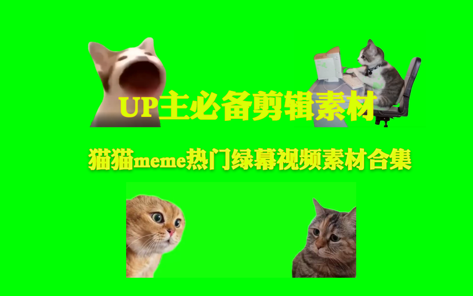 UP主必备！某音热门猫猫meme绿幕素材合集 - i分享-i分享